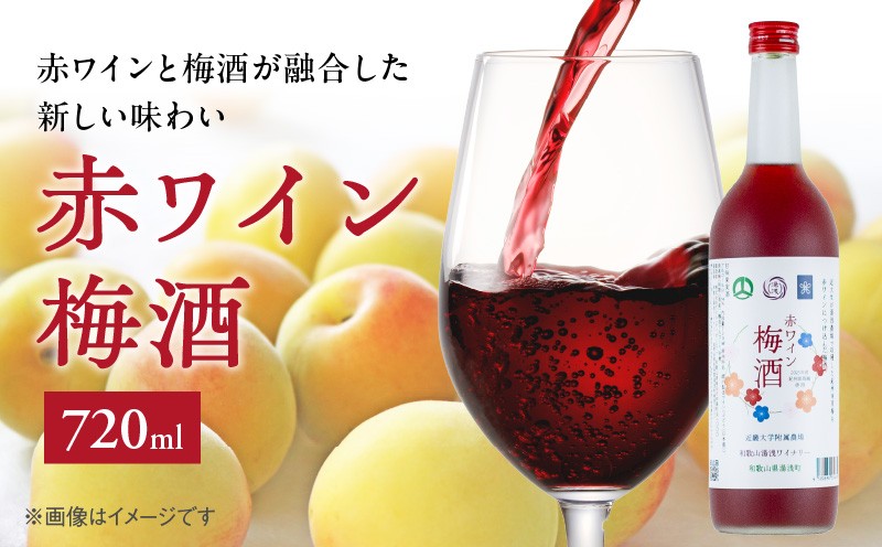 
                  EM6113_赤ワイン梅酒2025　720㎖
                
