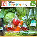 【ふるさと納税】【定期便6回】季節の 果物 と 野菜 セット 16品目 毎月1回 計6回 野菜定期便 フルーツ ベジタブル 詰め合わせ 新鮮 国産 九州産 熊本県産 送料無料