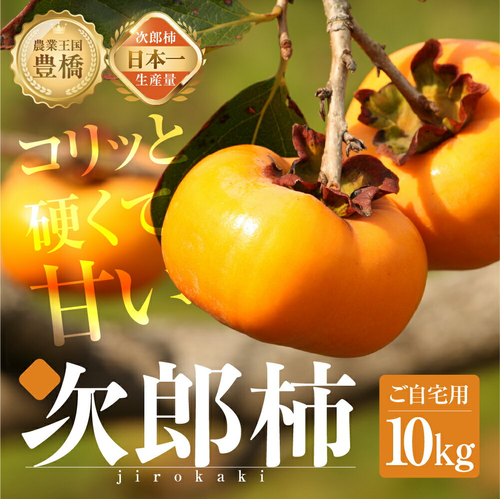 【ふるさと納税】≪先行予約≫ 生産量日本一 豊橋石巻産 次郎柿 ご自宅用 10kg 柿 訳あり 不揃い (30〜50玉) 甘柿 果物 フルーツ 10月 11月 愛知県 豊橋市