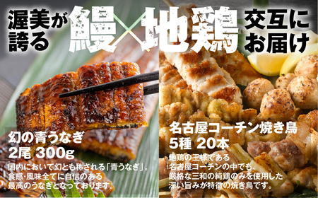【定期便】うな鶏定期便　6回定期便 うなぎ 名古屋コーチン