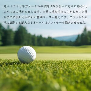 加西インターカントリークラブ プレー割引券 30000円分[ ゴルフ プレー券 兵庫県 ] ゴルフ場利用権 運動 コース ラウンド フラット 18ホール 