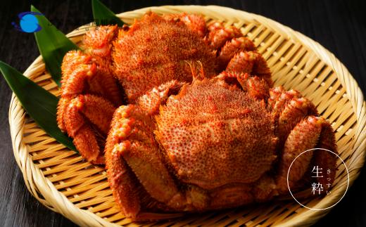 【 大きいサイズ 660g前後 】 冷凍浜茹で毛がに『2尾セット』
