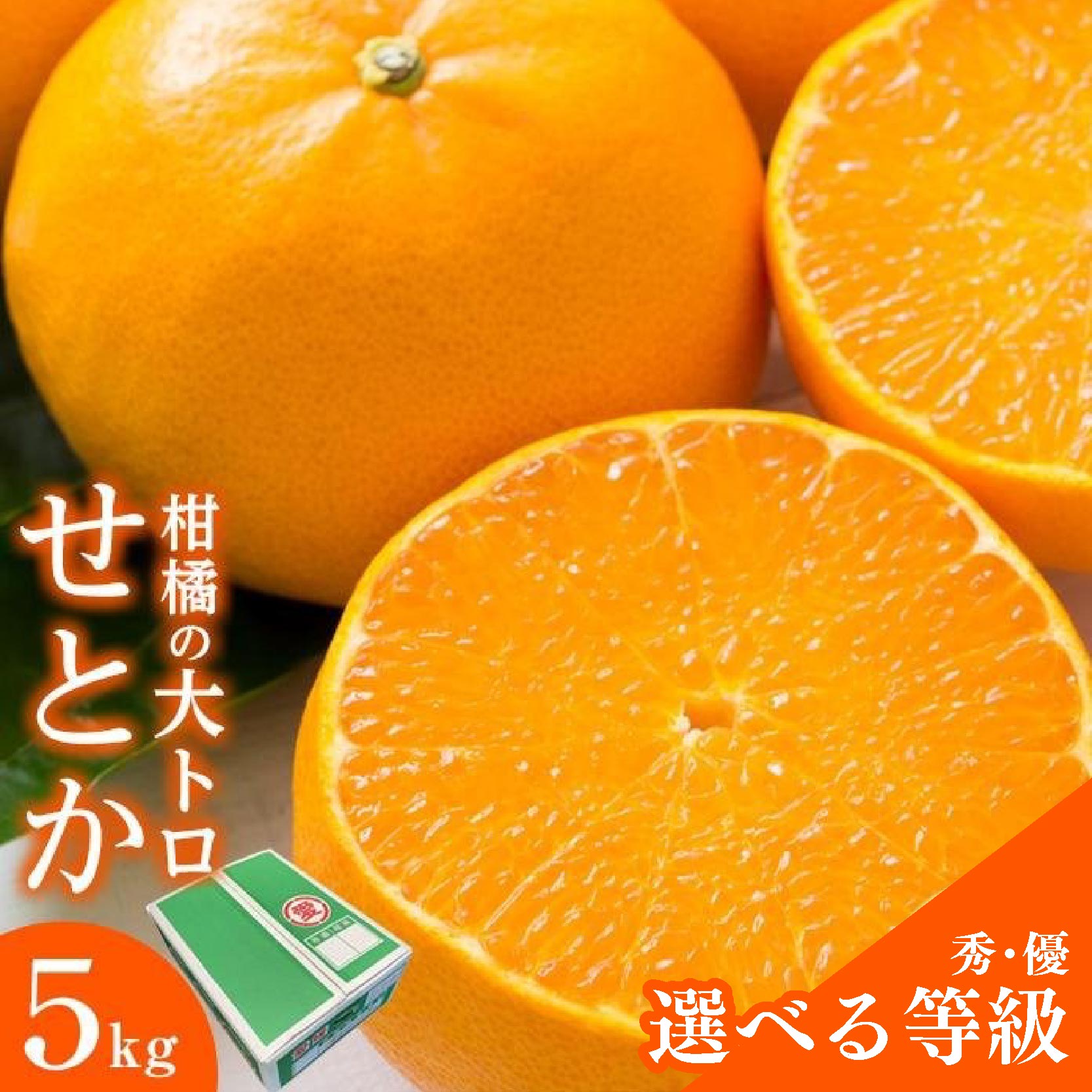 【ふるさと納税】 せとか 5kg ご家庭用 選べる等級 秀品 優品 柑橘 大トロ くだもの 数量限定 フルーツ みかん 愛媛 松山