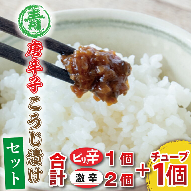 【ふるさと納税】青唐辛子こうじ漬けセット　パック3個［ピリ辛1個・激辛2個］チューブ1個（AK004-8）