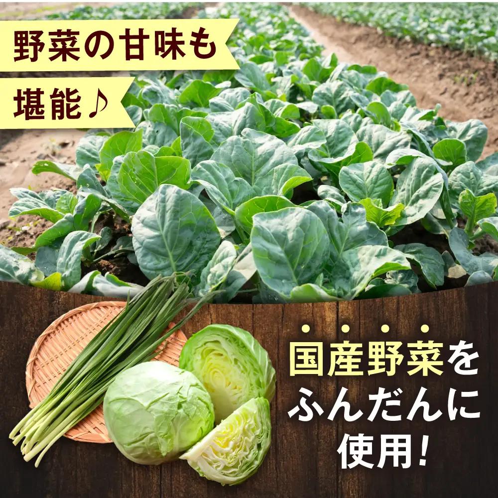 訳あり 本格 餃子 50個 餃子 [AKHQ001]