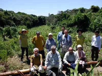 足摺ヤブ椿再生プロジェクト 応援一口  10,000円（3,000円分） ※返礼品なし※ 自然保護 椿 つばき ツバキ 藪椿 ヤブツバキ クラウドファンディング 募金 環境保護 SDGs 高知県【R0