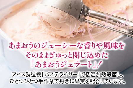 福岡産 あまおうジェラート 1000ml あまおう イチゴ いちご ジェラート スイーツ 果物 フルーツ アイス 送料無料 高級 お返し プレゼント 御見舞 お取り寄せ ストロベリー 苺