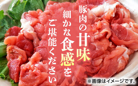 【6回定期便】豚帝 豚モモ こま切れ 切り落とし 3kg（300g×10pc）【KRAZY MEAT(小田畜産)】[ZCP081]