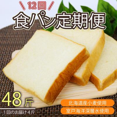 ふるさと納税 室戸市 【室戸海洋深層水仕込み】深層水食パン年12回定期便