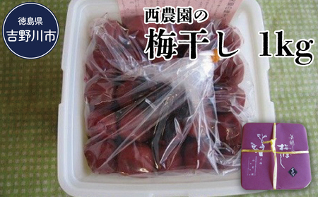 梅干し 1kg 大梅 梅干し うめぼし