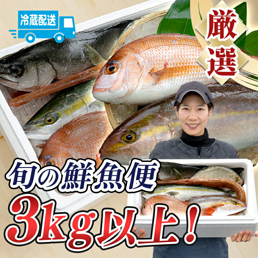 【ふるさと納税】鮮魚 3kg～ 鮮魚ボックス 詰め合わせ 刺身 刺し身 さしみ 海鮮丼 寿司 鮮度抜群 産地直送 海の幸 海鮮 魚介 新鮮 厳選 ギフト お取り寄せ おすすめ 人気 お中元 お歳暮 高知県産