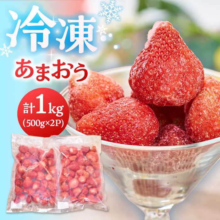 【ふるさと納税】福岡産 冷凍 あまおう 1kg （500g×2袋） ▼ 福岡 冷凍いちご 苺 イチゴ フルーツ 小分け 冷凍あまおう いちご 桂川町/南国フルーツ株式会社[ADBW005] 10000 10000円 1万円