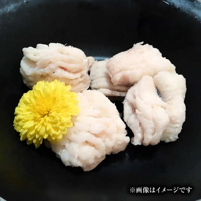ハモの骨切り 2人前（約500g）【2026年5月上旬から順次発送】ハモ 鱧 湯引き [AGBP006]