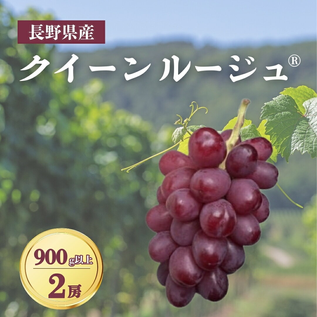 【ふるさと納税】【2026年先行予約】クイーンルージュ® 900g以上（2房）｜ぶどう 大粒 赤ぶどう 種無し 皮ごと 信州 長野県 千曲市
