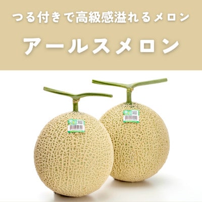 糖度13度以上!茨城県産 アールスメロン 2玉入り【先行受付　2026年9月下旬以降順次発送】【配送不可地域：離島・北海道・沖縄県・中国・四国・九州】