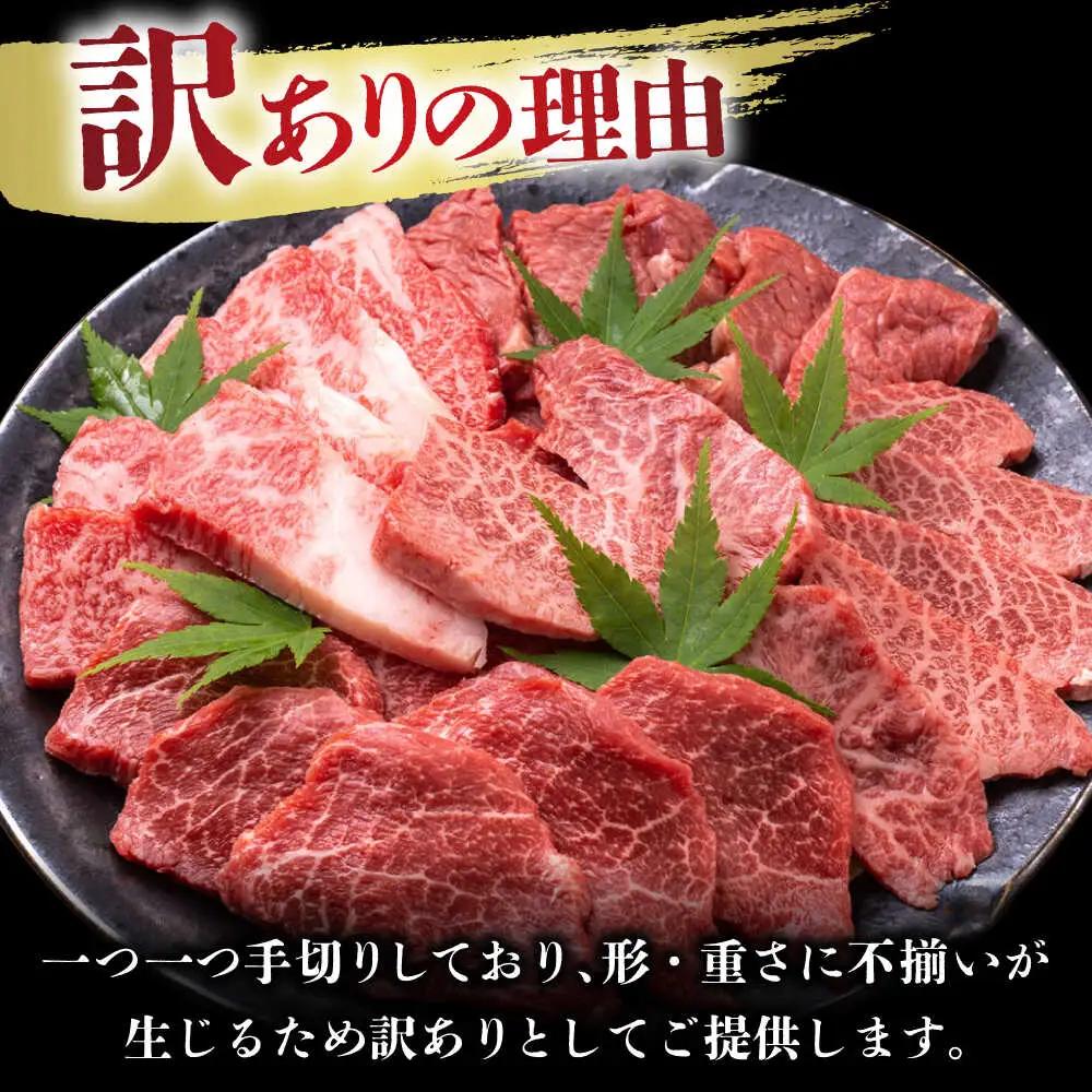 【3回定期便】【訳あり】 A4-A5 長崎和牛 焼肉 切り落とし (肩ロース・バラ） 500g [DBS042] 訳アリ 牛肉