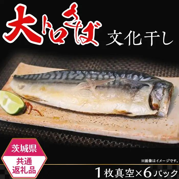サバ 茨城限定 極上干物 大トロさば文化干し 【茨城県共通返礼品/神栖市】