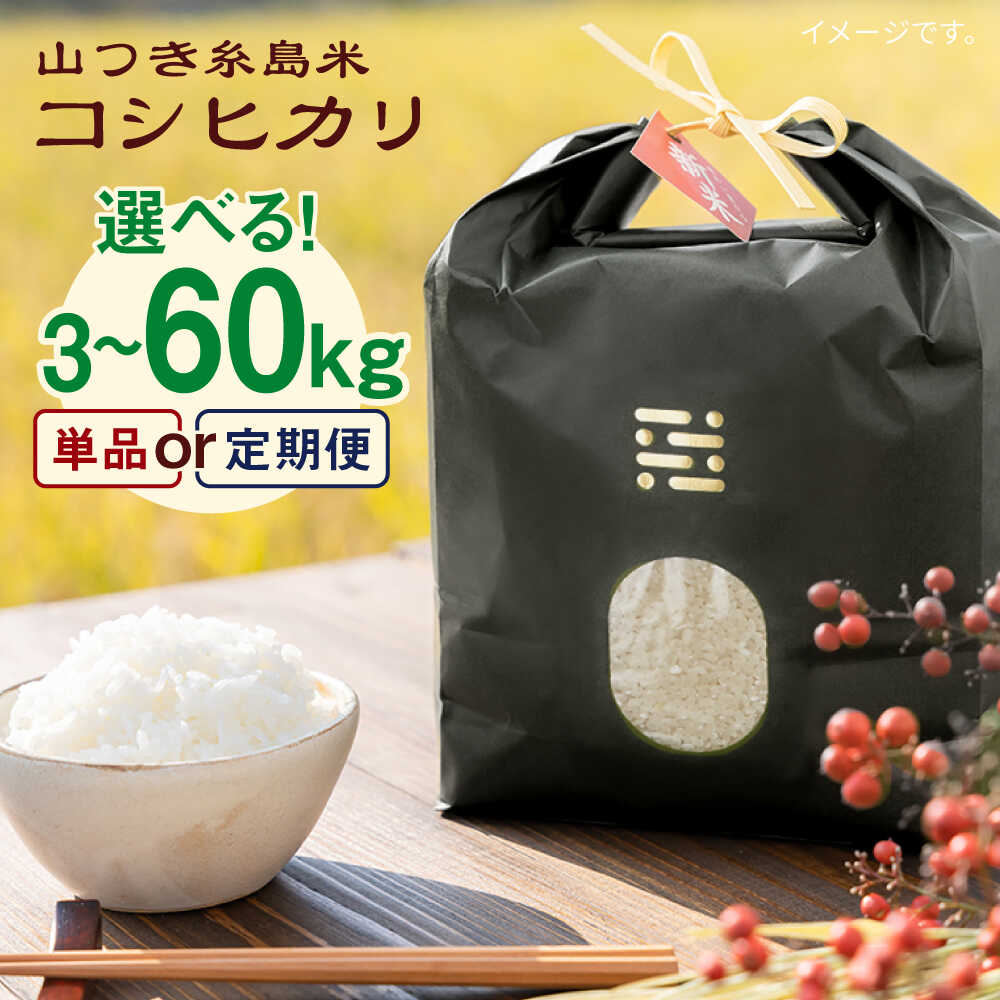【ふるさと納税】【選べるキロ数・回数 】山つき 糸島米 3kg/5kg（コシヒカリ）栽培期間中農薬不使用《糸島》【itoshimacco《(株)やました》】 [ARJ009] 常温 いとしまっこ 18000円 1万8千円