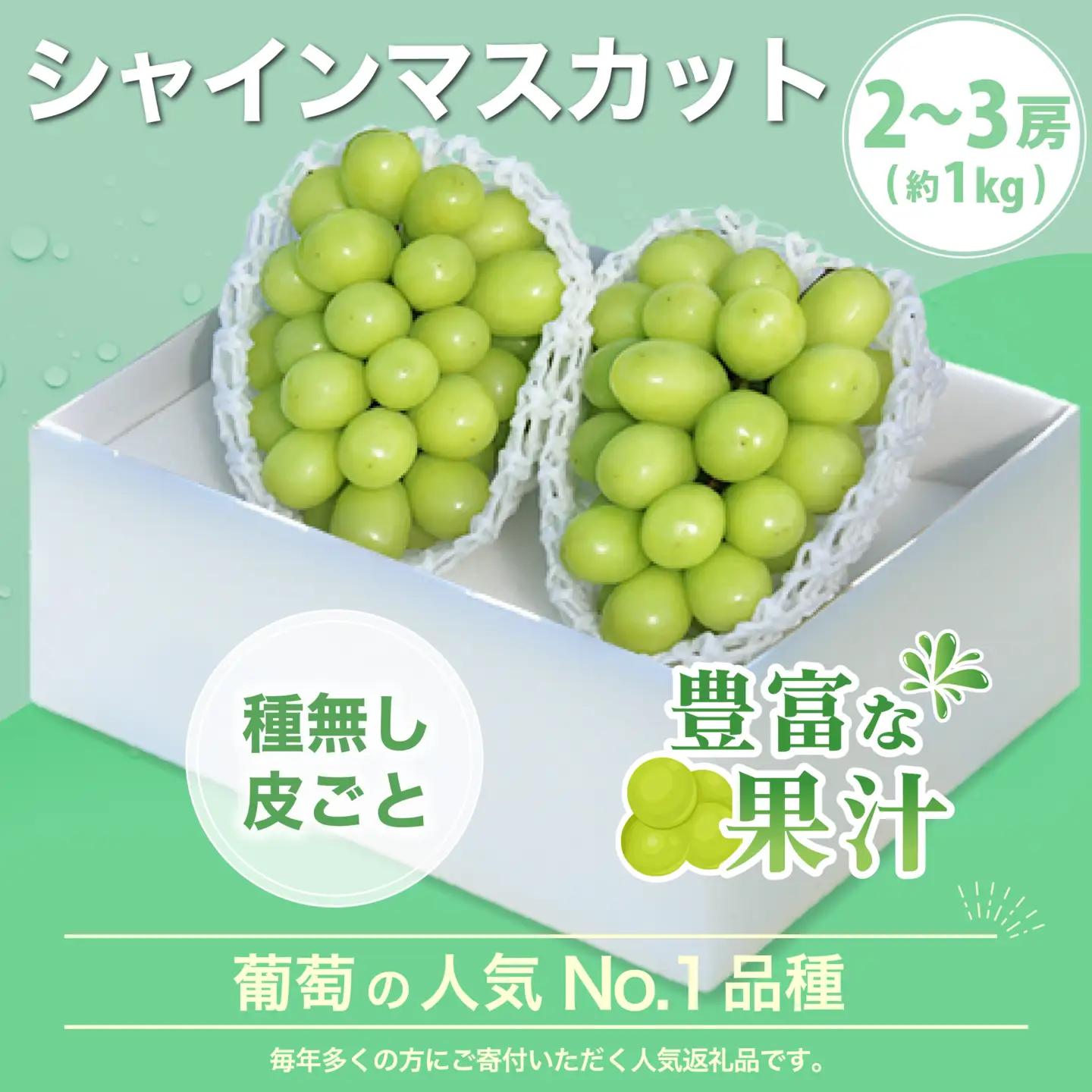 【ふるなびWEEK対象】シャインマスカット 桃 【定期便】 計約2kg FN-Limited-SP 180-020-FN-27y-week11