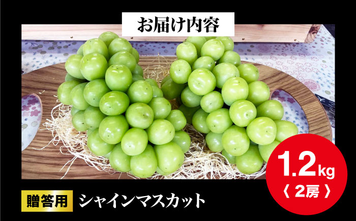 【先行予約】【10月上旬から順次発送】贈答用 シャインマスカット 約1.2kg（2房） ぶどう ブドウ 葡萄 シャイン マスカット 三次市 / 辰巳農園 [APCR003]