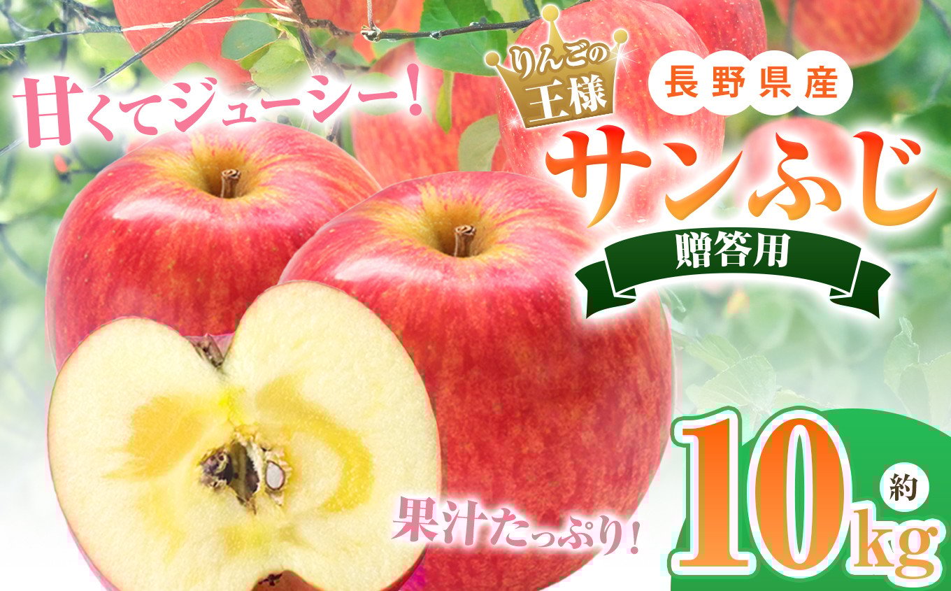 
             贈答用 サンふじ 約10kg 【2026年先行予約】｜ 北條農園 リンゴ りんご 林檎 果物 フルーツ 果実 果汁 サンふじ サンフジ 贈答用 長野県 松川村 信州
          
