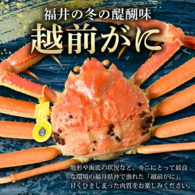 ふるさと納税 美浜町 【年末発送】はるか丸が厳選した越前がに【中サイズ800g〜900g×1杯】 |  | 02