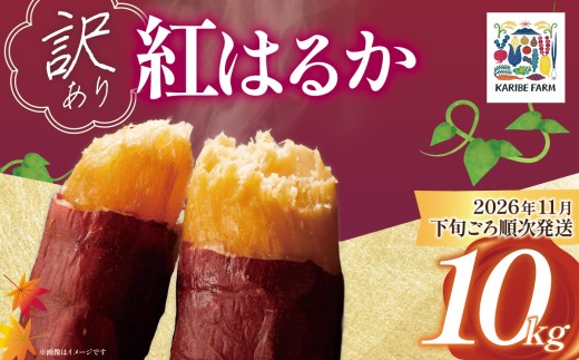 【先行予約】【訳あり】茨城県産 さつまいも 「紅はるか」 10kg【2026年11月下旬ごろ順次発送】【さつまいも 紅はるか 甘い ねっとり サツマイモ 焼き芋 芋 大容量 茨城県産 焼き芋 スイートポテト レシピ】[SZR]