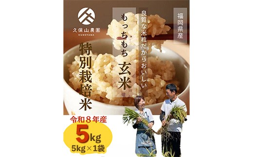 
                  令和8年産【先行予約】久保山百年米 特別栽培米 玄米 5kg 夢つくし/元気つくし【玄米 お米 米 ご飯 ごはん ブランド 元気つくし 夢つくし 農家直送 小分け 福岡県 筑前町 BT053】
                