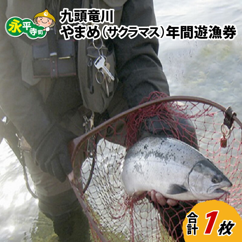 【ふるさと納税】九頭竜川 やまめ（サクラマス）年間遊漁券（2026年） / 永平寺町 釣り 体験 チケット
