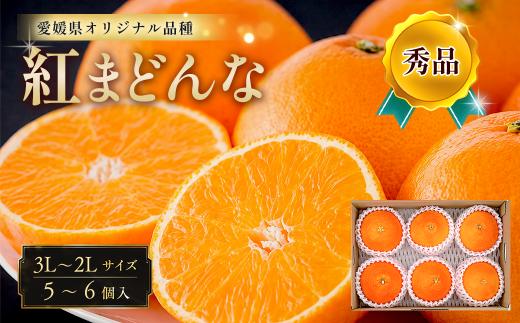 紅まどんな 秀品 5~6個 愛媛県産 西条市 （JA東予園芸またはJA周桑）【先行予約】 【11月下旬～12月発送】｜ まどんな 秀品 紅まどんな 愛媛 マドンナ みかん 果物 フルーツ ジューシー 甘い 高級 ミカン おすすめ 人気 お取り寄せ 愛媛県 西条市