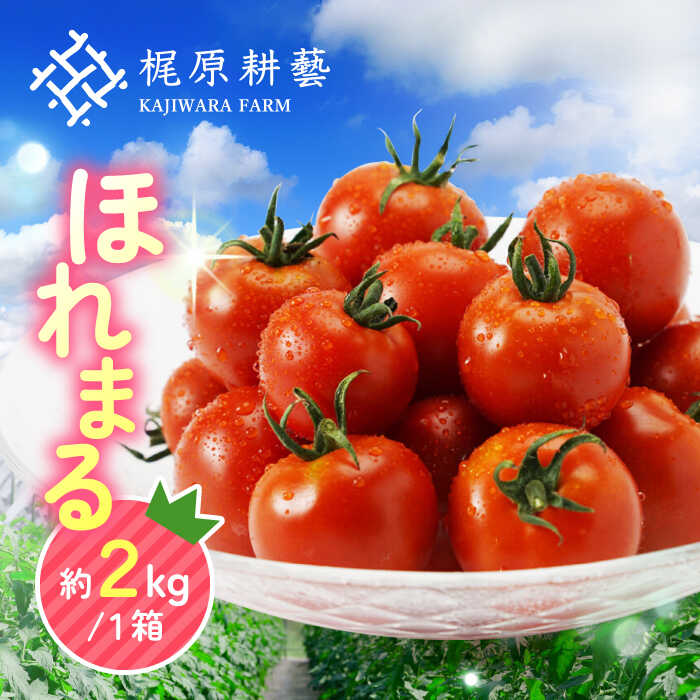 【ふるさと納税】甘みと酸味の絶妙なバランス！ミニトマト「ほれまる」 約2kg トマト プチトマト ミディトマト【梶原耕藝】[YDQ001]