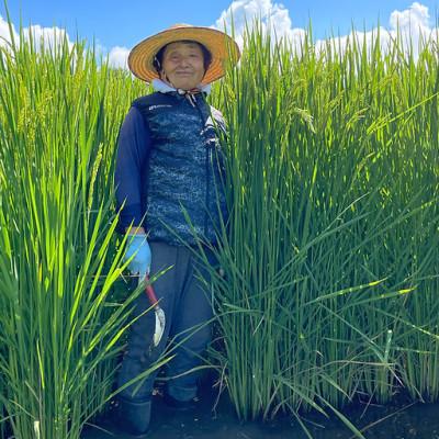 ふるさと納税 山梨県 きわだつ大粒!【令和7年産】こぴっと米【極】白米・10kg　特別栽培米 |  | 02