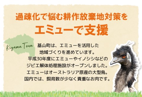 エミュースライス 400g【エミュー 基山産 高タンパク 高鉄分 低カロリー ヘルシー ジビエ 貴重肉 鉄分補給】 A1-A006004