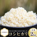 【ふるさと納税】米 富山県産 自然栽培米 コシヒカリ 玄米 2kg×1袋 [ 3ways 富山県 上市町 32280144 ] お米 コメ ご飯 ごはん 玄米ご飯 玄米ごはん こしひかり