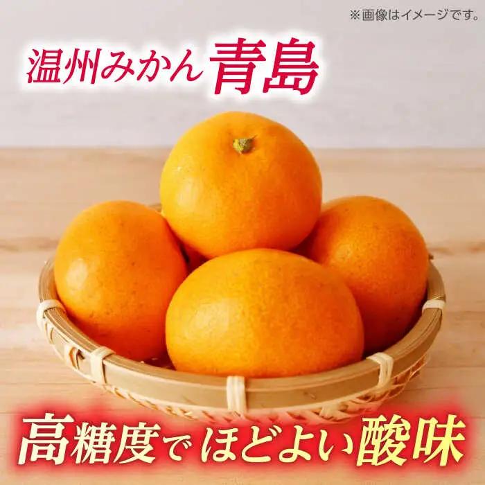 【先行予約】 訳あり 温州みかん 『青島』 約5kg S~Lサイズ 【奥村果実園】[ZFK001]