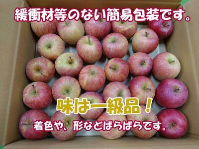 シャキシャキ葉とらず ふじりんご 約10kg 特別栽培農産物 長野県産 訳あり りんご リンゴ フルーツ 果物 おやつ デザート 信州 上田 家庭用