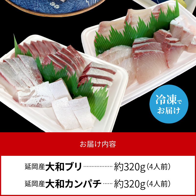 高級大和ブリ・大和カンパチお造り　計8人前 N072-YA866
