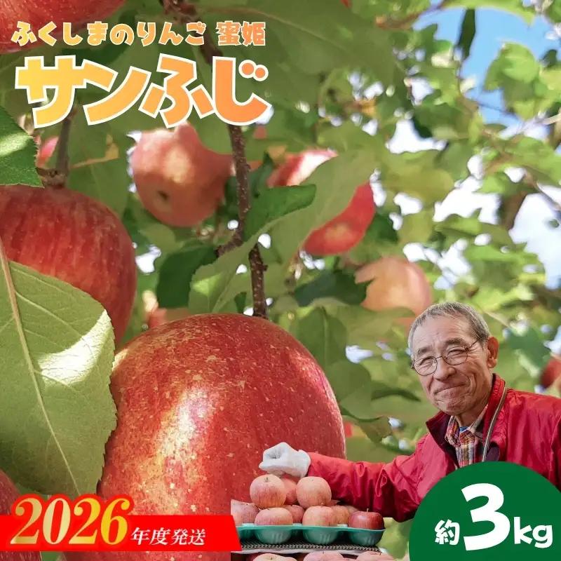 No.0787 ふくしまのりんご蜜姫「サンふじ」約3kg化粧箱入【2026年度発送】