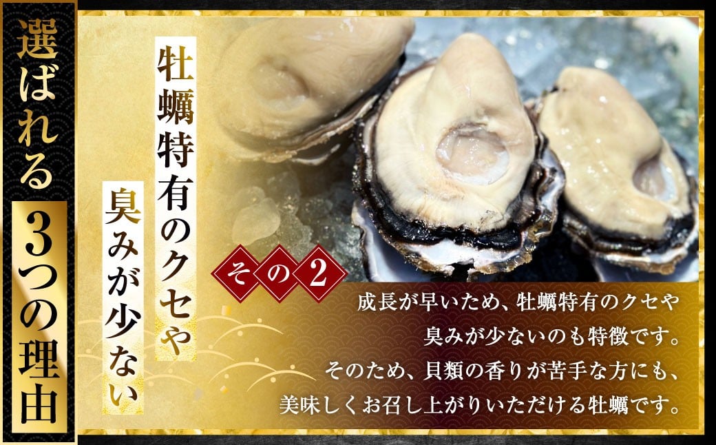 坂越かき むき身 約500g×2パック 計約1kg