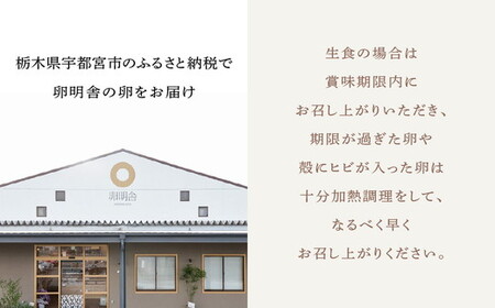 【2ケ月定期便】磨宝卵GOLD/贈答箱 30個入｜ たまご 卵 鶏卵 定期便 栃木県 宇都宮市 ※離島への配送不可