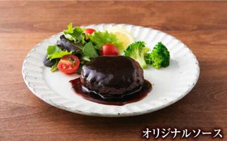 贅沢なやわらかハンバーグ 3種食べ比べ 計6個セット 豚肉 和風 洋風 白川町 / 一力屋[AWAE003]