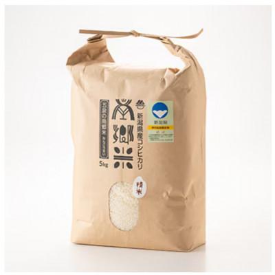 ふるさと納税 五泉市 【毎月定期便】特別栽培米コシヒカリ100%「南郷米」精米 5kg(5kg×1袋)全3回 |  | 01