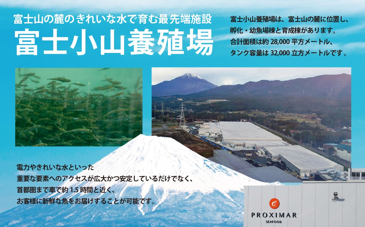 【訳アリ】小山町産 アトランティックサーモン 約1kg（柵）魚体2.0kg未満 | サーモン 刺身 海鮮丼 小分け 真空パック 鮭 養殖 国産 訳あり 1キロ 切り身 静岡県 小山町