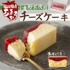 あまおうチーズケーキ(260g×1本)(那珂川市)