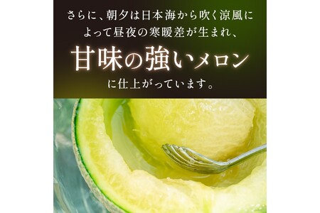 【先行予約／数量限定500】京丹後産 砂丘メロン 大玉2L以上 1玉（2024年7月下旬～発送）
