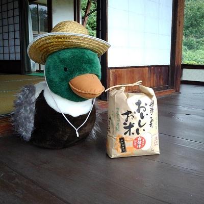 ふるさと納税 飯南町 カモしゃん米　精米5kg |  | 03