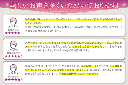 スパークリングワイン６本セット　F-603【甲州 ワイン お酒 スパークリングワイン 甲州ワイン 日本ワイン お酒 人気 スパークリングワイン 推奨 おまかせ フルボトル ワイン パーティー ワイン 