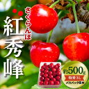 【ふるさと納税】 【令和6年産先行予約】 さくらんぼ 「紅秀峰」 約500g (特秀 3L) バラパック詰め 《令和6年6月下旬～発送》 『松田観光果樹園』 サクランボ 果物 フルーツ 産地直送 生産農家直送 山形県 南陽市 [2001]