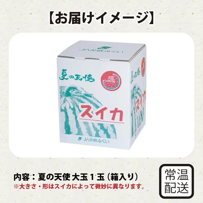 【先行予約】甘さきらめく「夏の天使」スイカ1玉 【2026年7月中旬以降順次発送予定】スイカ 西瓜 すいか 大玉 デザート 果物 お取り寄せ 産地直送 [A-1005]
