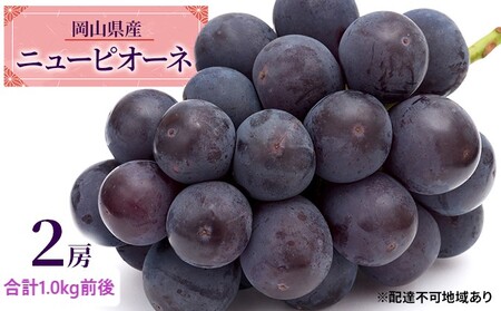 ぶどう 2026年 先行予約 ニュー ピオーネ 2房 合計1.0kg前後 ぶどう